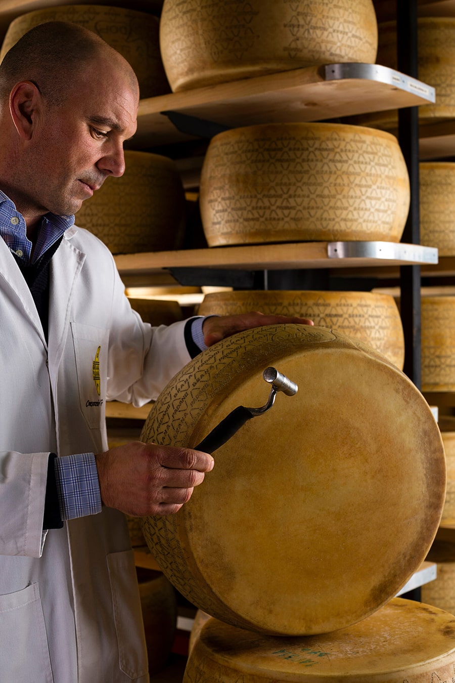 grana padano cheese