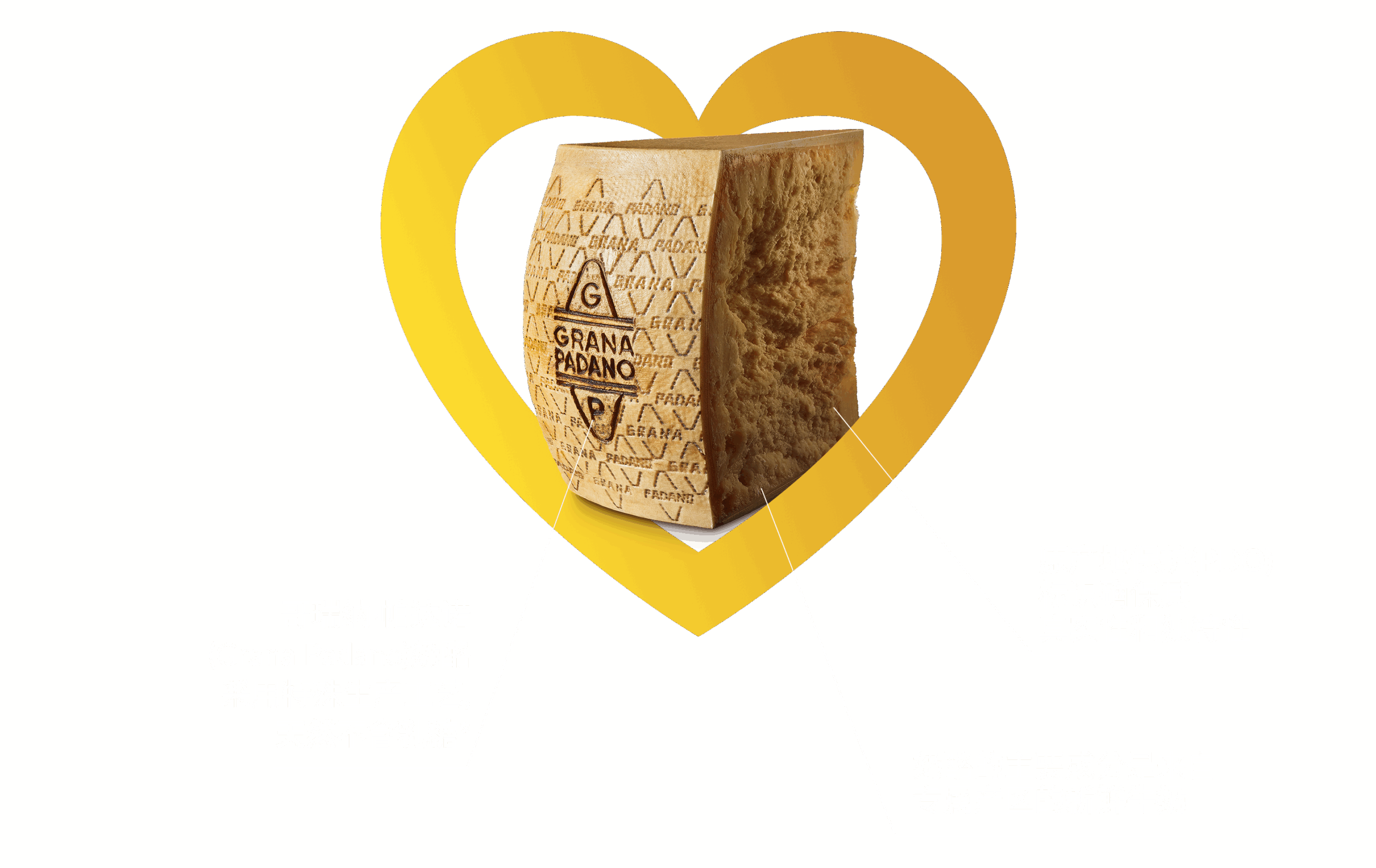Grana Padano PDO
